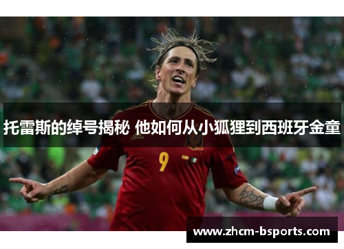 托雷斯的绰号揭秘 他如何从小狐狸到西班牙金童